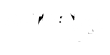 Logo authenticfeet